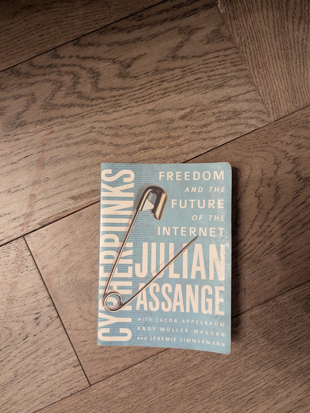 Julian Assange: Cypherpunks - Freedom and the Future of the Internet (Blue)